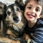 After bringing a rescued dog home with us, my 8-year-old son vanished the following evening.