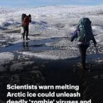 Just what 2025 needed….
