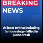 Twelve – including famous singer in plane crash off remote island