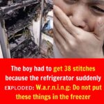 The boy had to get 38 stitches because the refrigerator suddenly ᴇxᴘʟᴏᴅᴇᴅ: W.a.r.n.i.n.g: Do not put these things in the freezer