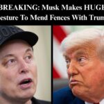Elon Musk and Controversial Post