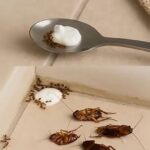 Try This Simple Homemade Mix to Keep Flies and Pests Away Naturally