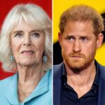 Shocking update about Queen Camilla after Prince Harry’s visit to see his father confirms what we all suspected Check Comments