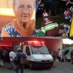 Elderly woman dies in a m0tel after refusing to give c… See more